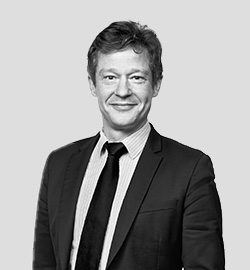 Profile picture of Sylvain DE CHAUMONT