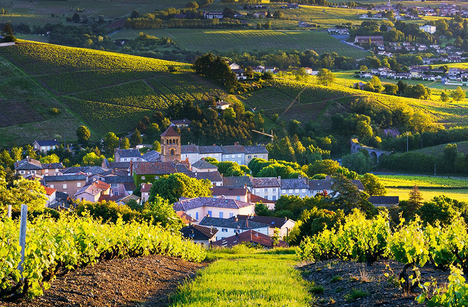 Image de présentation